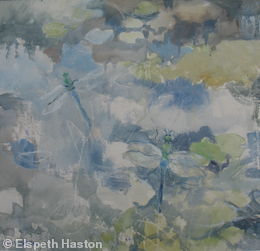 t_398181_dragonfly-pond